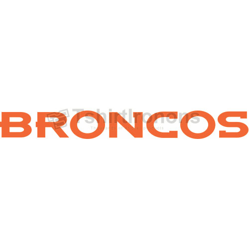 Denver Broncos T-shirts Iron On Transfers N504 - Click Image to Close